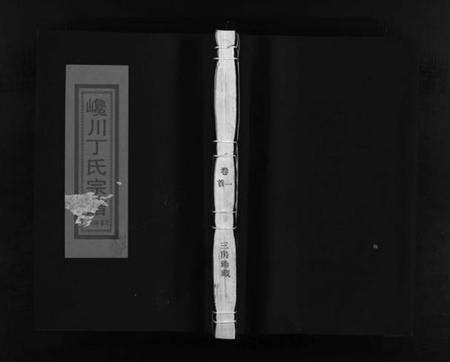 浙江丁氏族谱-巉川丁氏宗谱 [2卷,及卷首].pdf电子版预览图1