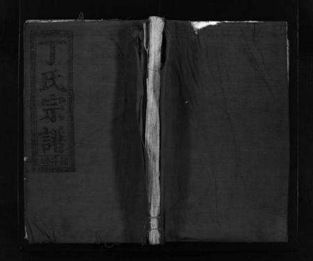 浙江丁氏族谱-巉川丁氏宗谱 [不分卷].pdf电子版预览图1