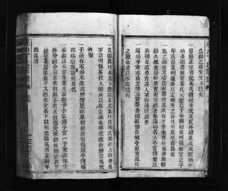 浙江丁氏族谱-巉川丁氏宗谱 [不分卷].pdf电子版预览图5