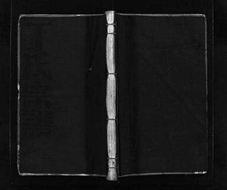 浙江丁氏族谱-巉川丁氏宗谱 [不分卷].pdf电子版预览图1