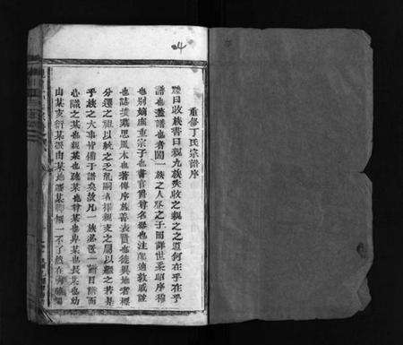 浙江丁氏族谱-巉川丁氏宗谱 [不分卷].pdf电子版预览图2