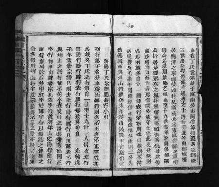 浙江丁氏族谱-巉川丁氏宗谱 [不分卷].pdf电子版预览图3