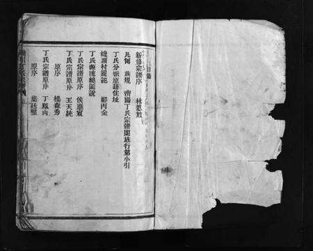 浙江丁氏族谱-巉川丁氏宗谱 [不分卷].pdf电子版预览图2