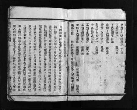 浙江丁氏族谱-巉川丁氏宗谱 [不分卷].pdf电子版预览图3