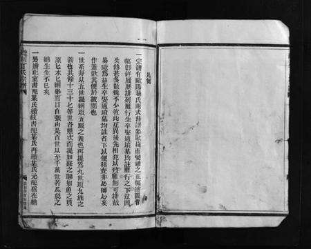 浙江丁氏族谱-巉川丁氏宗谱 [不分卷].pdf电子版预览图5