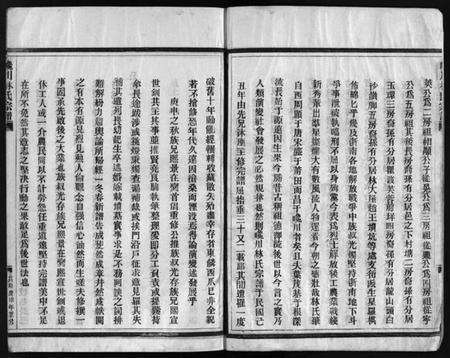 浙江林氏族谱-巉川西河郡林氏宗谱 [不分卷].pdf电子版预览图4