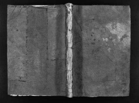 浙江梅氏族谱-左原梅氏宗谱 [不分卷].pdf电子版预览图1