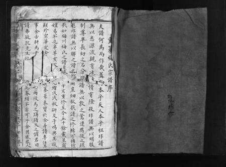 浙江梅氏族谱-左原梅氏宗谱 [不分卷].pdf电子版预览图2