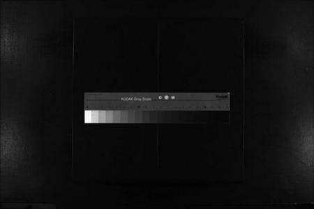 浙江王氏族谱-左原王氏宗谱 [不分卷].pdf电子版缩略图