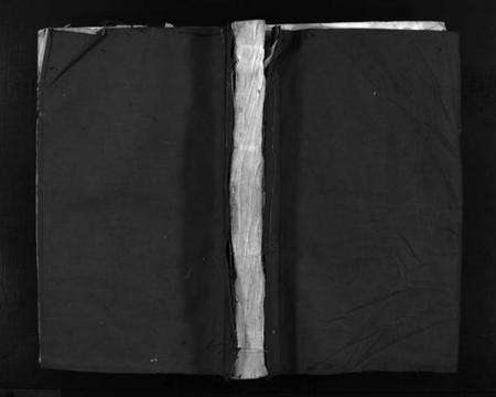 浙江王氏族谱-左原王氏宗谱 [不分卷].pdf电子版预览图1