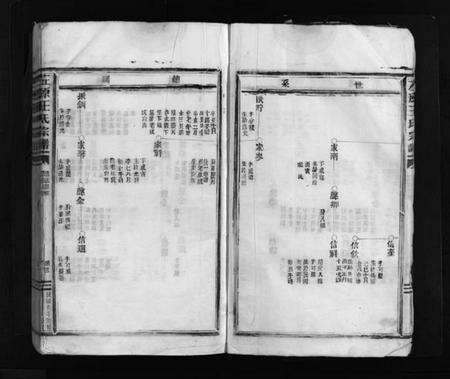 浙江王氏族谱-左原王氏宗谱 [不分卷].pdf电子版预览图4