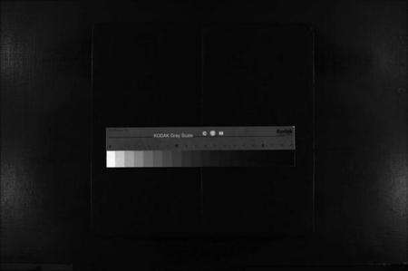 浙江王氏族谱-左原王氏房谱 [不分卷].pdf电子版缩略图