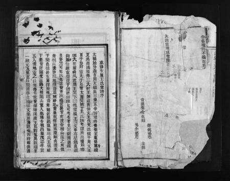 浙江王氏族谱-左原王氏房谱 [不分卷].pdf电子版预览图3