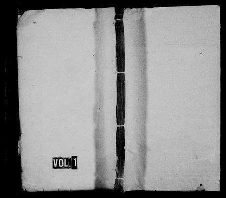 湖南胡氏族谱-胡氏支谱 [残卷].pdf电子版预览图1