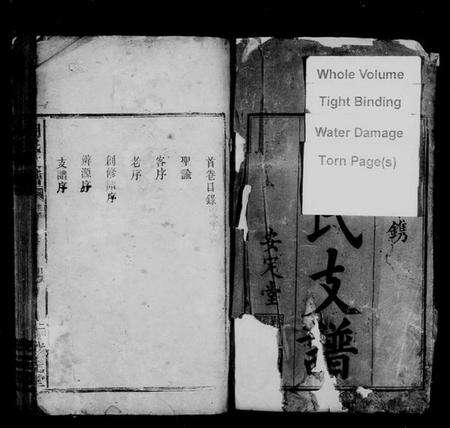 湖南胡氏族谱-胡氏支谱 [残卷].pdf电子版预览图3