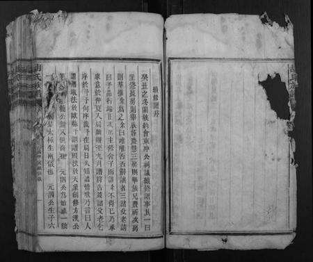 湖南胡氏族谱-胡氏族谱.pdf电子版预览图4