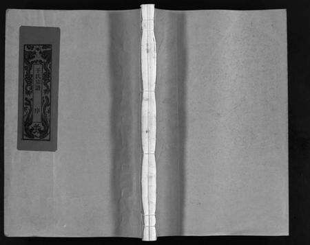 浙江干氏族谱-干氏宗谱 [2卷,首1卷].pdf电子版预览图1