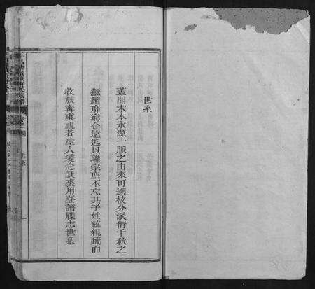 浙江傅氏族谱-平昌塘岭头傅氏族谱.pdf电子版预览图1