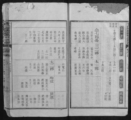 浙江傅氏族谱-平昌塘岭头傅氏族谱.pdf电子版预览图2