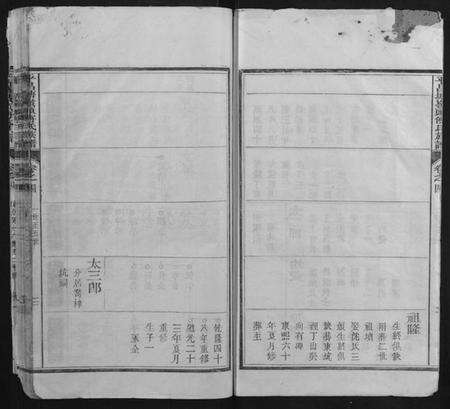 浙江傅氏族谱-平昌塘岭头傅氏族谱.pdf电子版预览图3