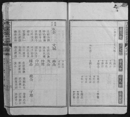 浙江傅氏族谱-平昌塘岭头傅氏族谱.pdf电子版预览图4