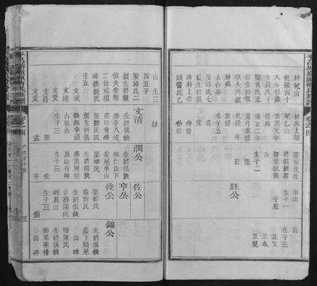 浙江傅氏族谱-平昌塘岭头傅氏族谱.pdf电子版预览图5