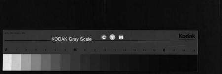 浙江陈氏族谱-平舆陈氏宗谱[1册].pdf电子版缩略图