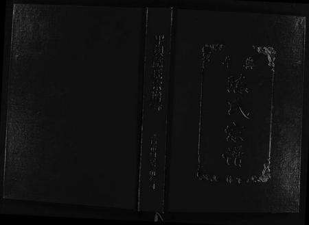 浙江陈氏族谱-平舆陈氏宗谱[1册].pdf电子版预览图1