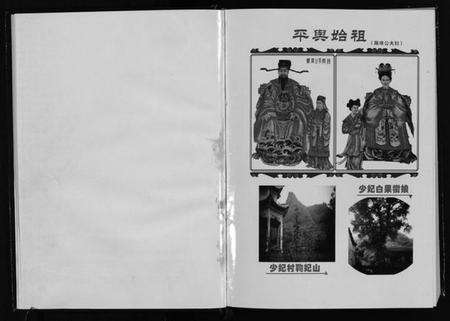 浙江陈氏族谱-平舆陈氏宗谱[1册].pdf电子版预览图4