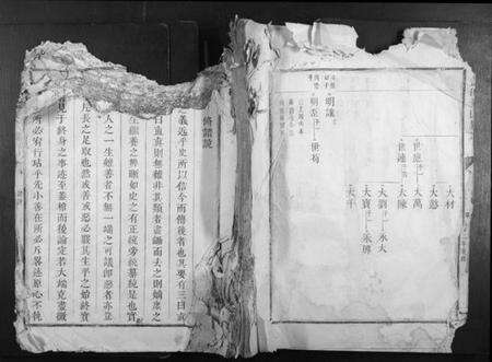 江西董氏族谱-蓝田董氏族谱.pdf电子版缩略图