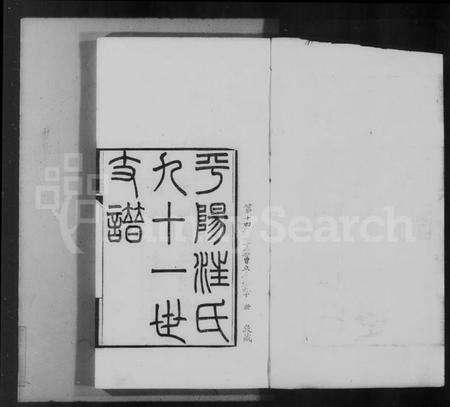 浙江汪氏族谱-平阳汪氏九十一世支谱 [2卷].pdf电子版预览图4