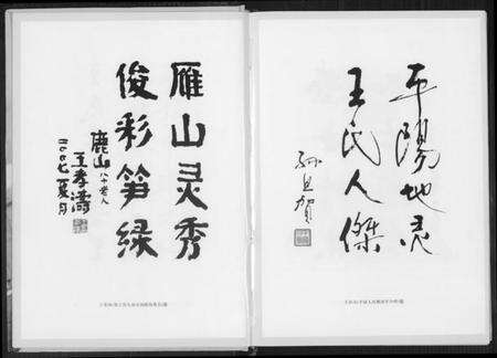 浙江王氏族谱-平阳王氏.pdf电子版预览图5