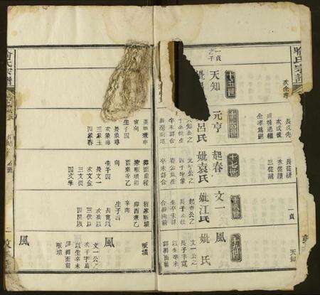 湖北喻氏族谱-喻氏宗谱.pdf电子版预览图2