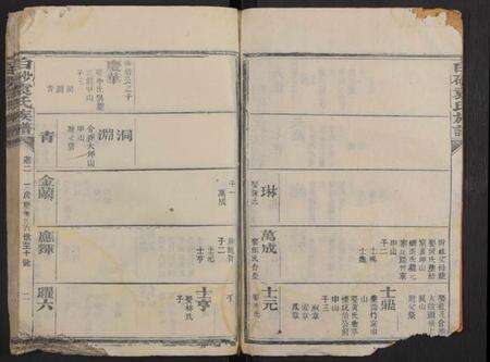 中国袁氏族谱-白砂袁氏族谱 [残卷].pdf电子版预览图2