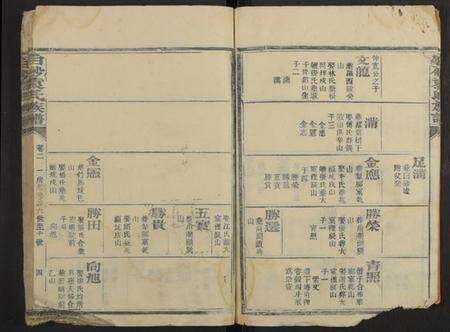 中国袁氏族谱-白砂袁氏族谱 [残卷].pdf电子版预览图4