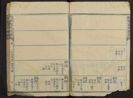 中国袁氏族谱-白砂袁氏族谱 [残卷].pdf电子版预览图5