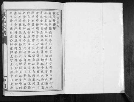 江苏袁氏族谱-袁氏宗谱.中门[不分卷].pdf电子版预览图1