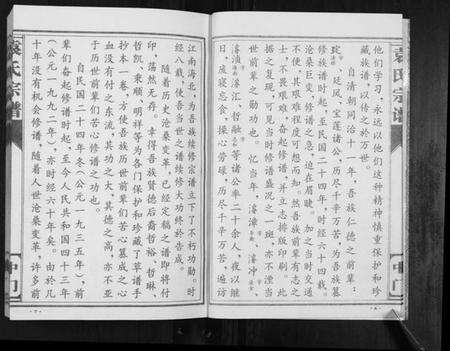 江苏袁氏族谱-袁氏宗谱.中门[不分卷].pdf电子版预览图4