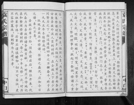 江苏袁氏族谱-袁氏宗谱.中门[不分卷].pdf电子版预览图5