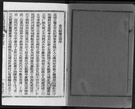 湖北袁氏族谱-袁氏宗谱.pdf电子版预览图2