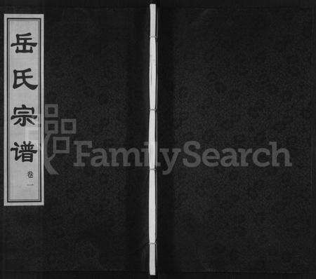 江苏岳氏族谱-岳氏宗谱 [10卷].pdf电子版缩略图