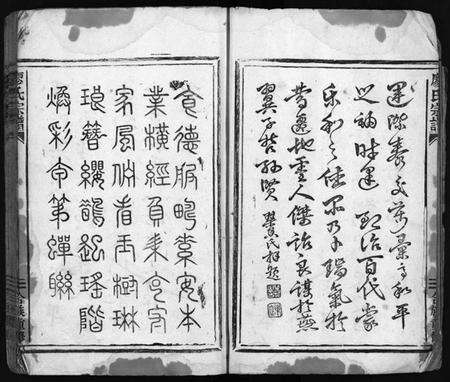 浙江廖氏族谱-廖氏宗谱 [不分卷].pdf电子版预览图3