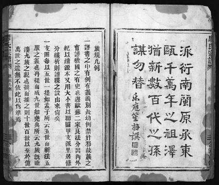 浙江廖氏族谱-廖氏宗谱 [不分卷].pdf电子版预览图4