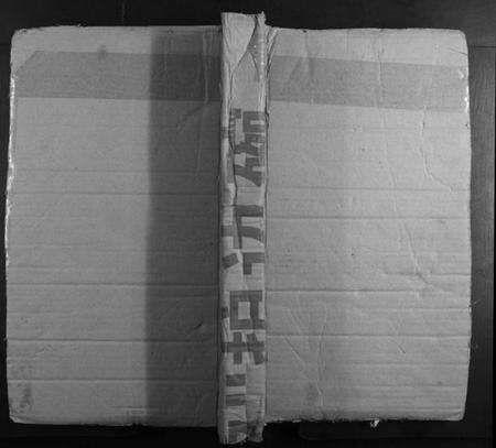 湖南胡氏族谱-金岩胡氏族谱.pdf电子版缩略图