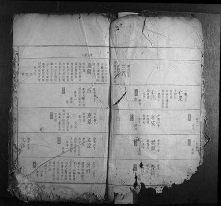 湖南胡氏族谱-金岩胡氏族谱.pdf电子版预览图2