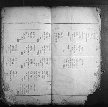 湖南胡氏族谱-金岩胡氏族谱.pdf电子版预览图4