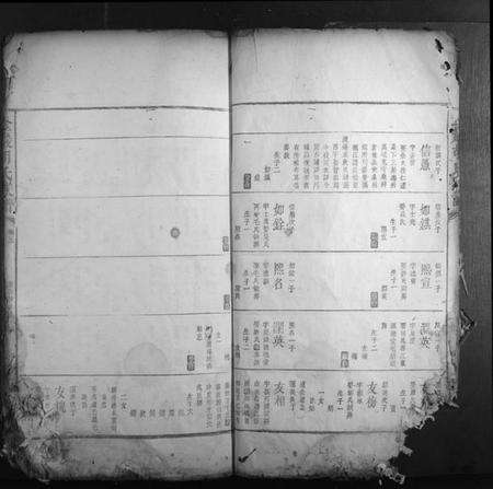 湖南胡氏族谱-金岩胡氏族谱.pdf电子版预览图5