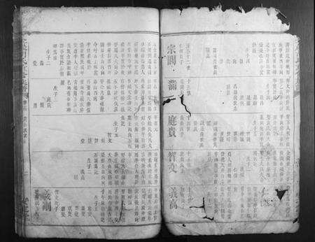 湖南胡氏族谱-金岩胡氏重修族谱.pdf电子版预览图2