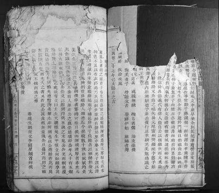 湖南胡氏族谱-金岩胡氏重修族谱.pdf电子版预览图4