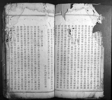 湖南胡氏族谱-金岩胡氏重修族谱.pdf电子版预览图5